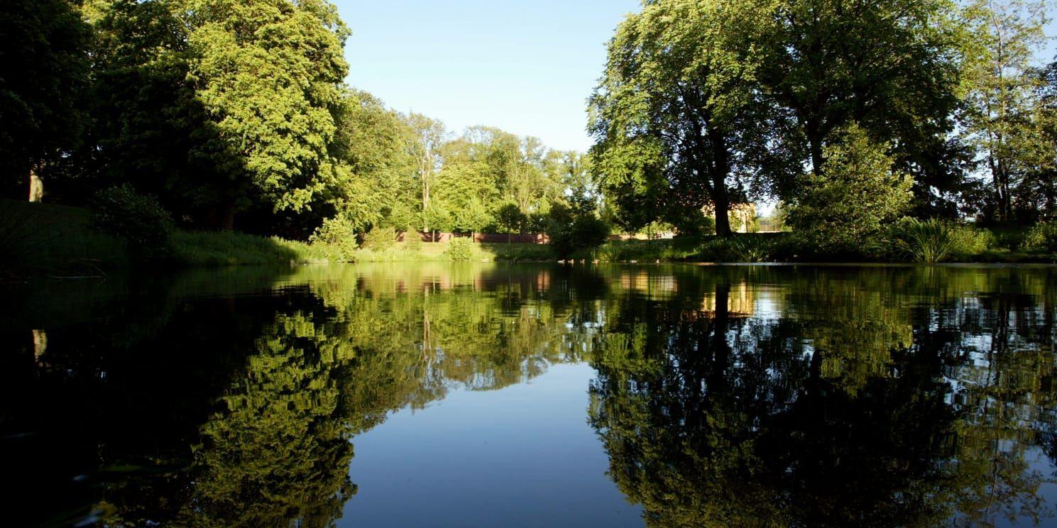 Dammen i Slottsparken får snart sällskap av ett nytt utegym. Bild: HP/arkiv