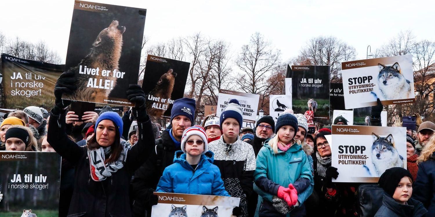 Tusentals demonstrerade framför stortinget i Oslo för bevarandet av rovdjur i Norge.