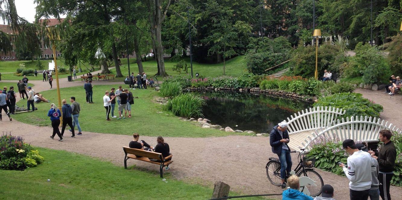 i Norre Katts park och på flera andra platser i Halmstad syns nu för tiden upptagna Pokémonjägare.