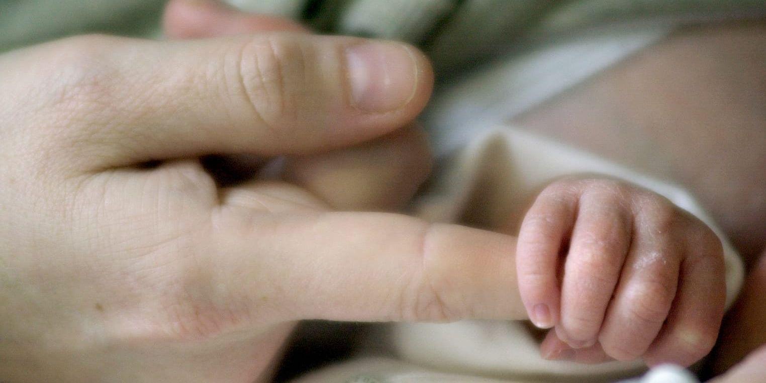 Nytt rekord. 4 456 bebisar föddes på Hallands sjukhus i fjol, vilket är nytt rekord.