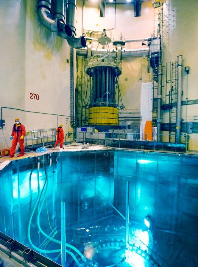 I reaktorhallen med bassängen som är så nära vi kan komma reaktorhärden. Personal i röda overaller har tillträde till FME-området för sanering.