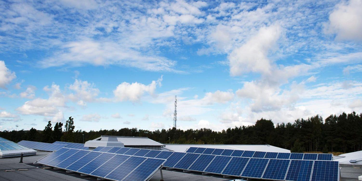 Kraftfullt. El från vind och sol har framtiden för sig, här illustrerat av solpanelerna på Sannarpsgymnasiets tak i Halmstad.