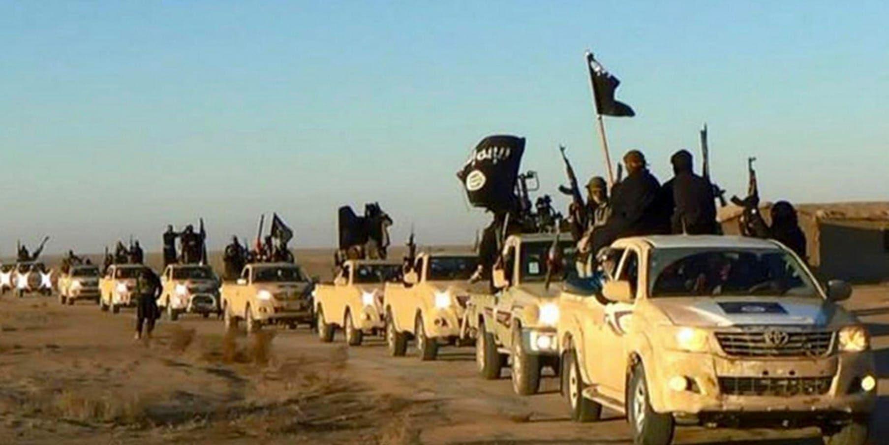 Sommaren 2014, IS-krigare i konvoj. Trots IS kollaps i Syrien och Irak består terroristhotet mot Sverige, enligt Must.