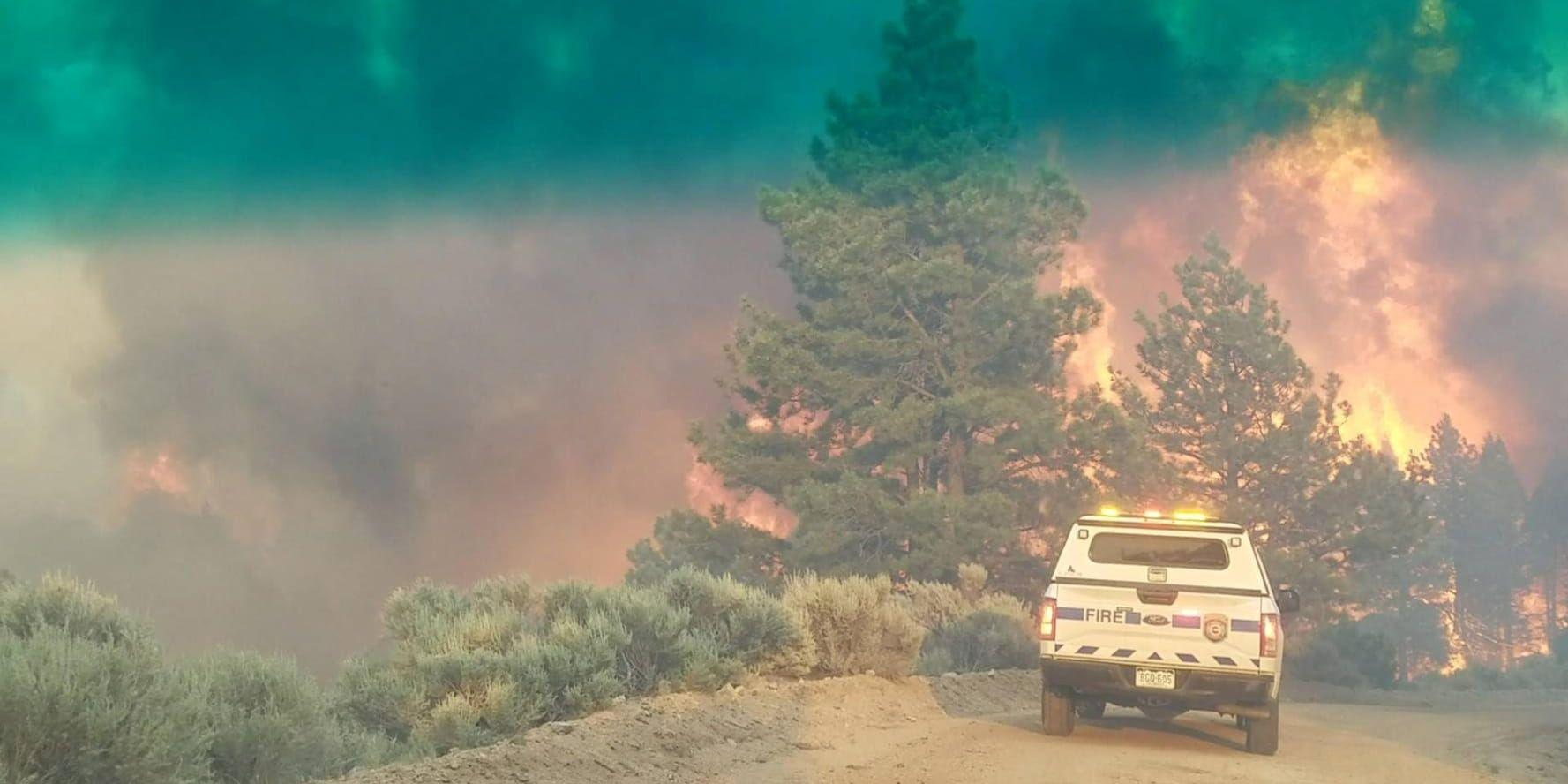 En dansk medborgare står inför rätta anklagad för att ha orsakat en stor skogsbrand i delstaten Colorado, USA.