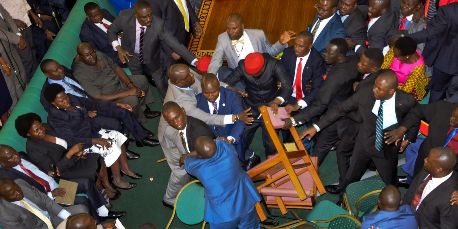 Frågan om huruvida president Yoweri Museveni ska få ställa upp för omval igen väcker heta känslor. I dag blev det stökigt i Ugandas parlament i Kampala.
