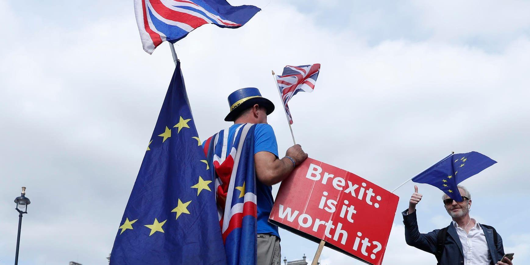 "Brexit – är det värt det?", frågar en anhängare av den sida som vill att Storbritannien ska stoppa utträdesprocessen ur EU. Tiden är nu knapp för London att nå en uppgörelse med Bryssel för att undvika att Storbritannien "kraschar" ut ur EU utan avtal. Arkivbild