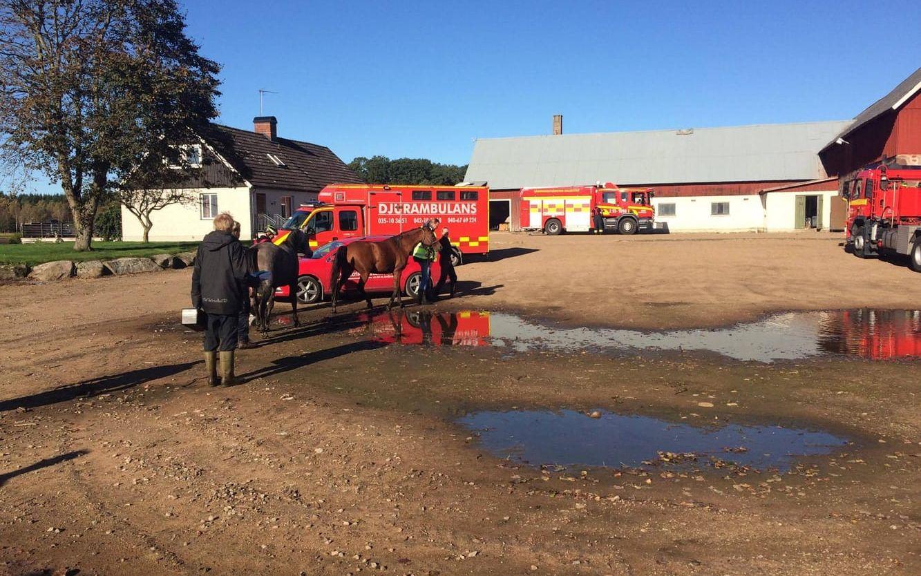 Händelsen inträffade på en gård öster om Halmstad. FOTO: Räddningstjänsten Halmstad