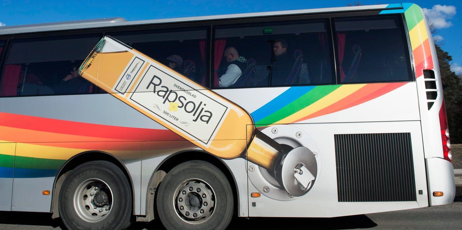 En buss som drivs av rapsolja. Arkivbild.