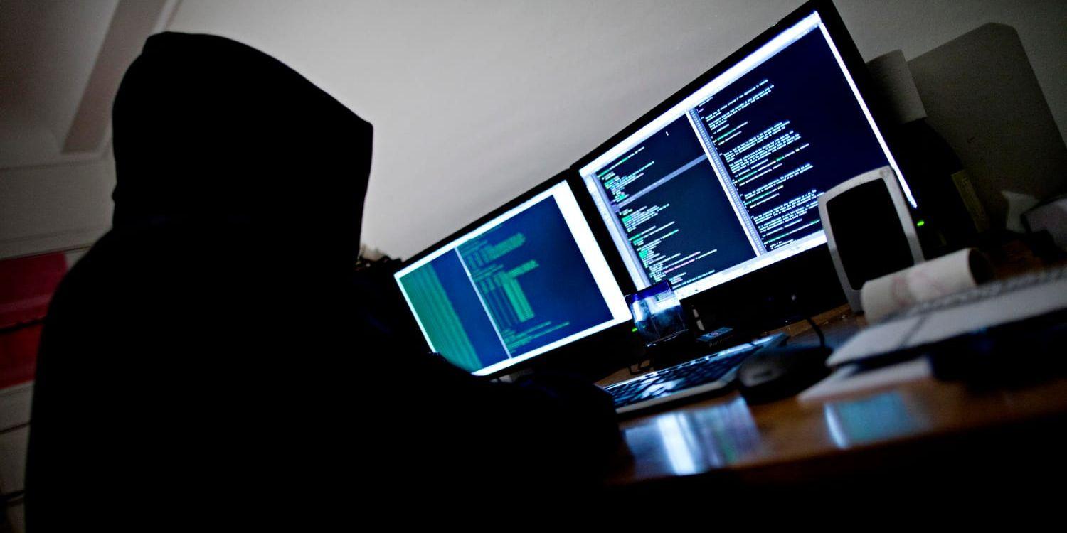 Enligt medieuppgifter har ett stort antal svenska sajter utsatts för en hackerattack på söndagen. Arkivbild.