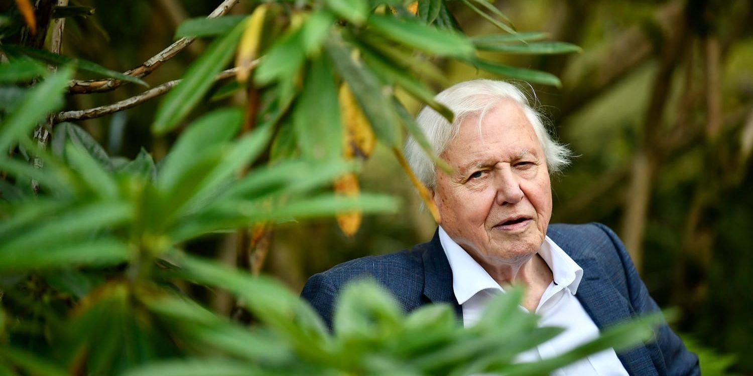 "Jag hoppas att vi ska ta vårt förnuft tillfånga", säger Sir David Attenborough på besök i Göteborgs botaniska trädgård.