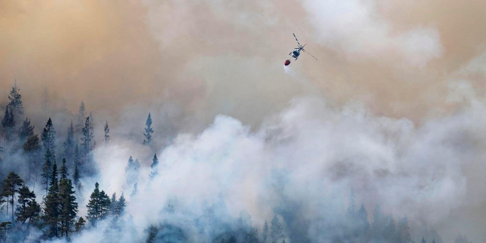 En helikopter hjälper till i släckningsarbetet av en av skogsbränderna som härjat i Setesdalen i södra Norge.