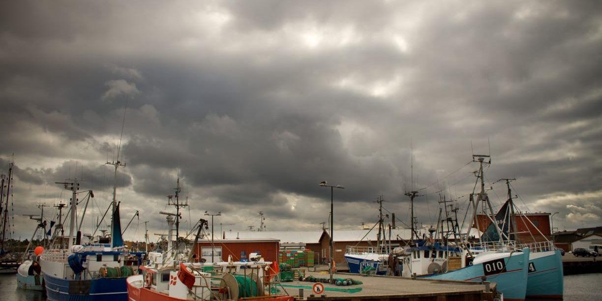 Gilleleje hamn. Fyra av de fem fiskefartyg som Greenpeace nu avslöjat har sin hemmahamn i Gilleleje på norra Själland. Nu kräver miljöorganisationen att svenska och danska myndigheter tar krafttag mot tjuvfisket efter den hotade torsken.
