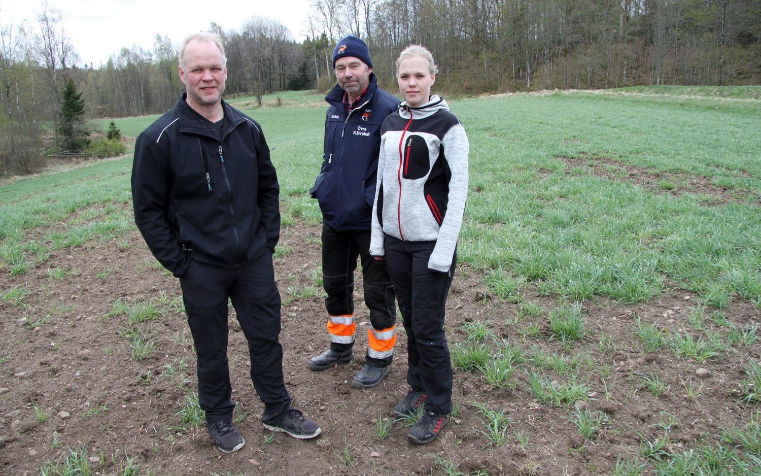 Allvarligt läge. Lars-Göran Larsson, Erling Nilsson och Linda Larsson är bekymrade över vildsvinens härjningar. Bild: Jan Bergman.