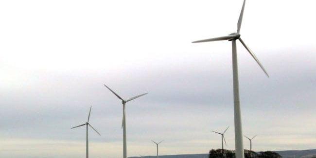 I motvind. Regeringen har aviserat en omfattande utbyggnad av vindkraft i Sverige. Miljöhänsyn och Tysklands kärnkraftsavveckling driver på beslutet.