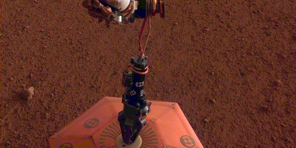 Bild från Nasa som visar hur Insights arm ställer ner seismometern på Mars yta. Det franskbyggda instrumentet är klätt i koppar, som glimmar i Marssolen.