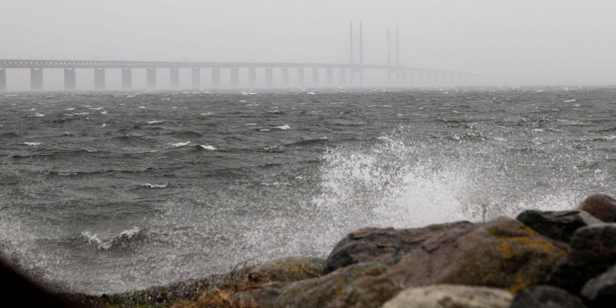 Skånska kommuner protesterar mot beslutet att inte försäkra havsnära nybyggen på grund av översvämningsrisk. Arkivbild.