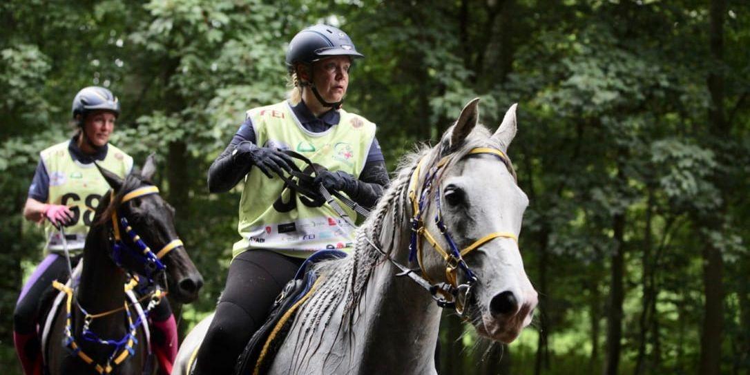 <strong>Utan resultat.</strong> Emma Holmberg på Prince of Shades diskades sedan hästen visat mindre hälta efter målgången i EM i Bryssel.