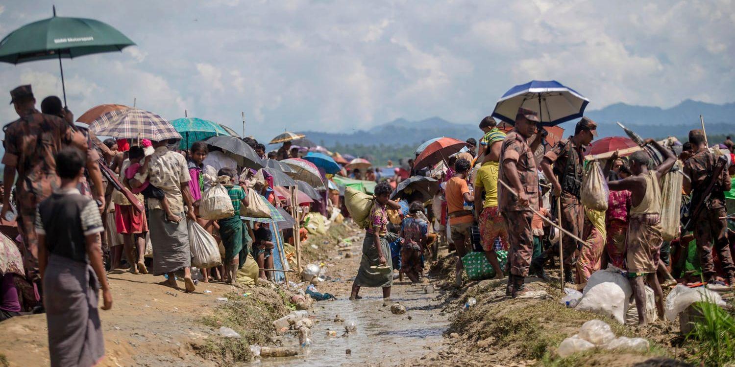 Mer än 530 000 rohingyer har flytt från Burma till Bangladesh.