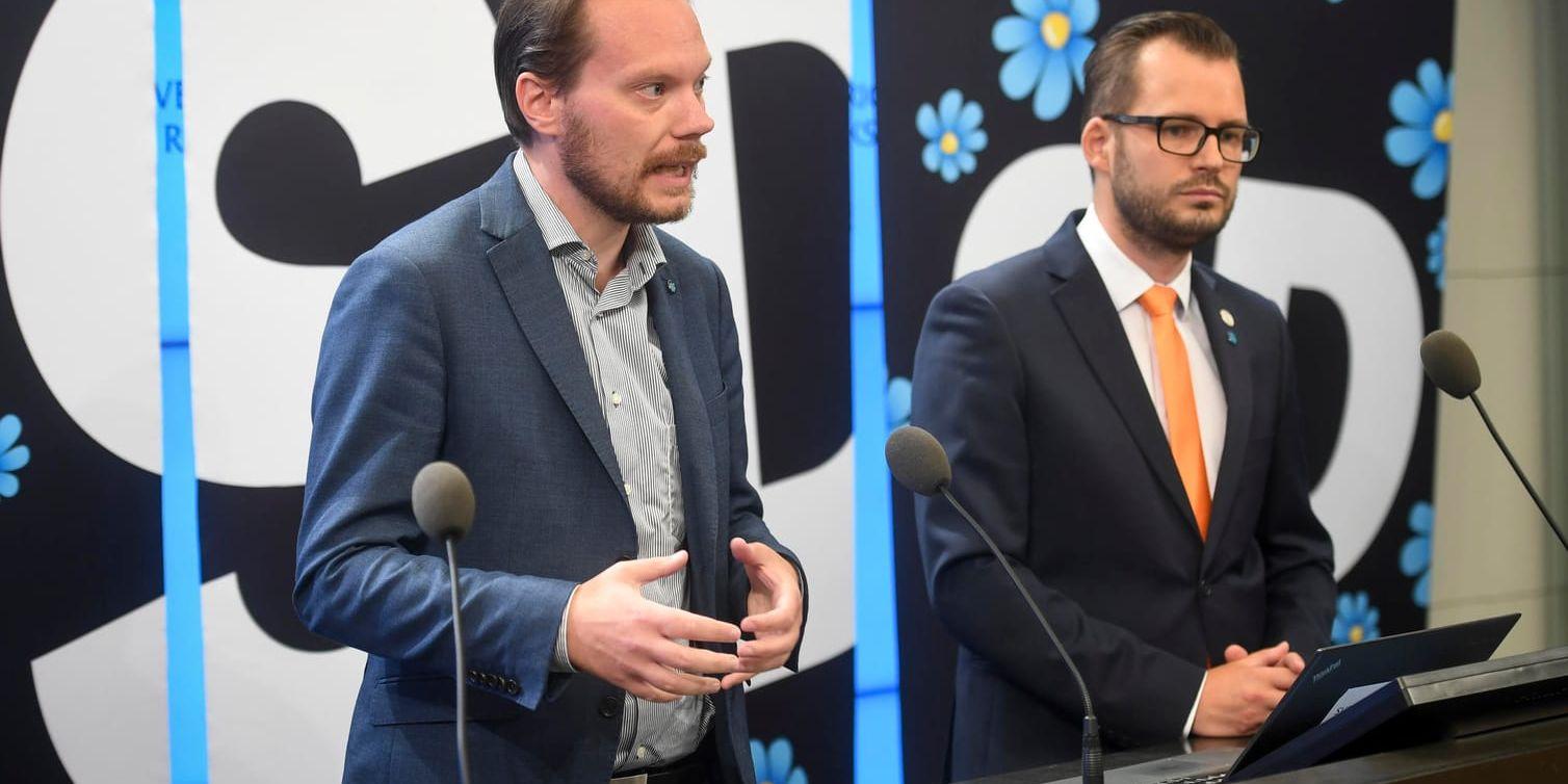 Sverigedemokraternas Martin Kinnunen, talesperson i miljö- och klimatpolitiska frågor, och Mattias Bäckström Johansson, energipolitisk talesperson.