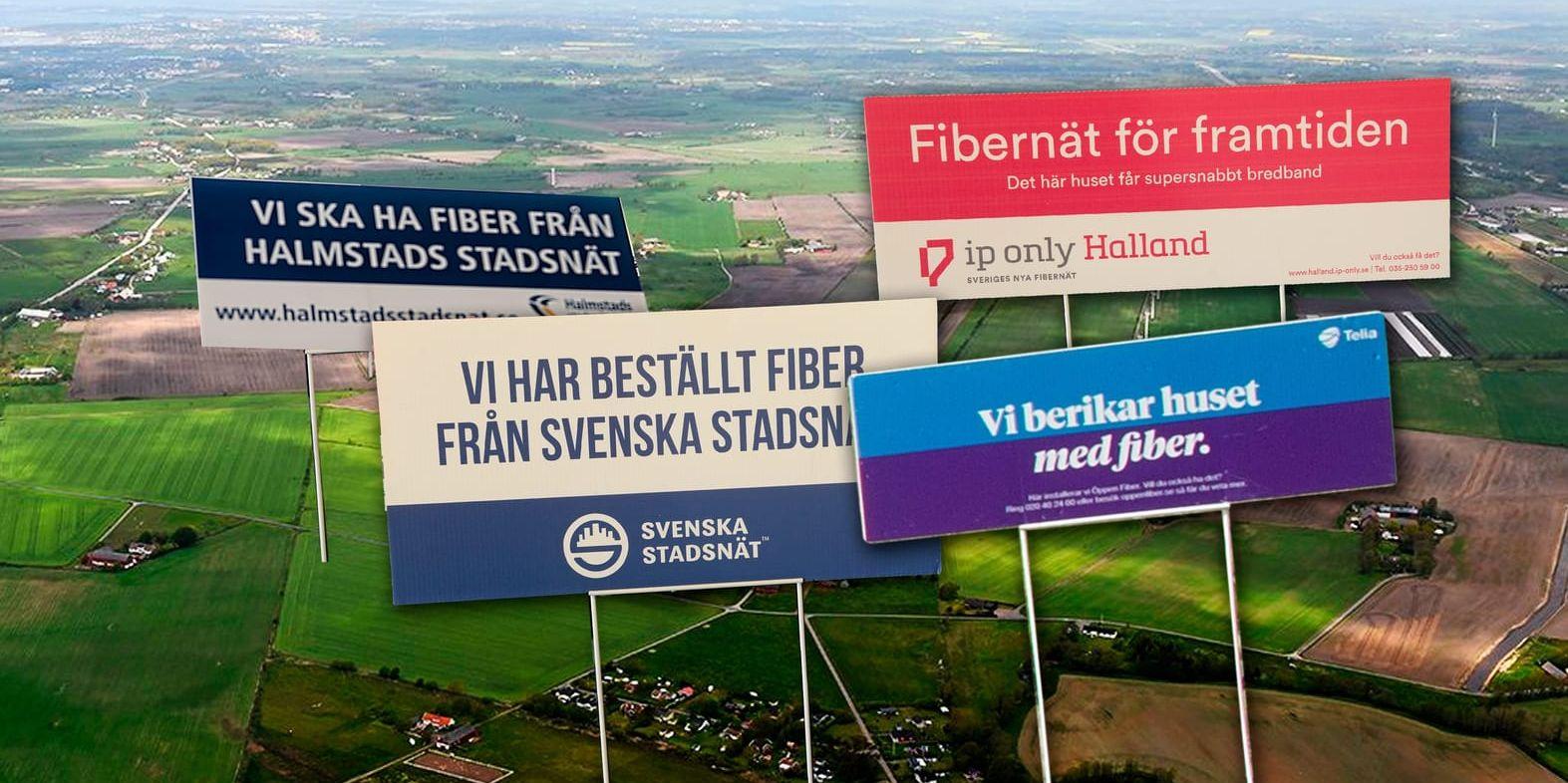 Hård konkurrens. Länge var Halmstads stadsnät ensam om att erbjuda fiber. Nu har man konkurrens från IP-Only, Svenska stadsnät och Telia Fiber.