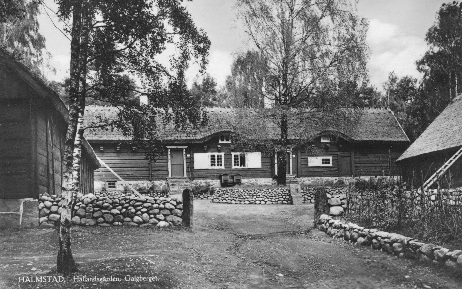 Vid invigningen 1925 talade landshövding Axel Mörner, och han hoppades att Hallandsgården ”skulle få en plats i allas hjärtan”. Bild: Vykort ur Föreningen Gamla Halmstads samlingar.