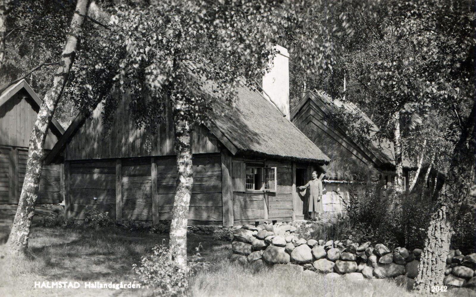 Backstugan på Hallandsgården användes först som vaktmästarbostad.  Bild: Vykort ur Föreningen Gamla Halmstads samlingar.