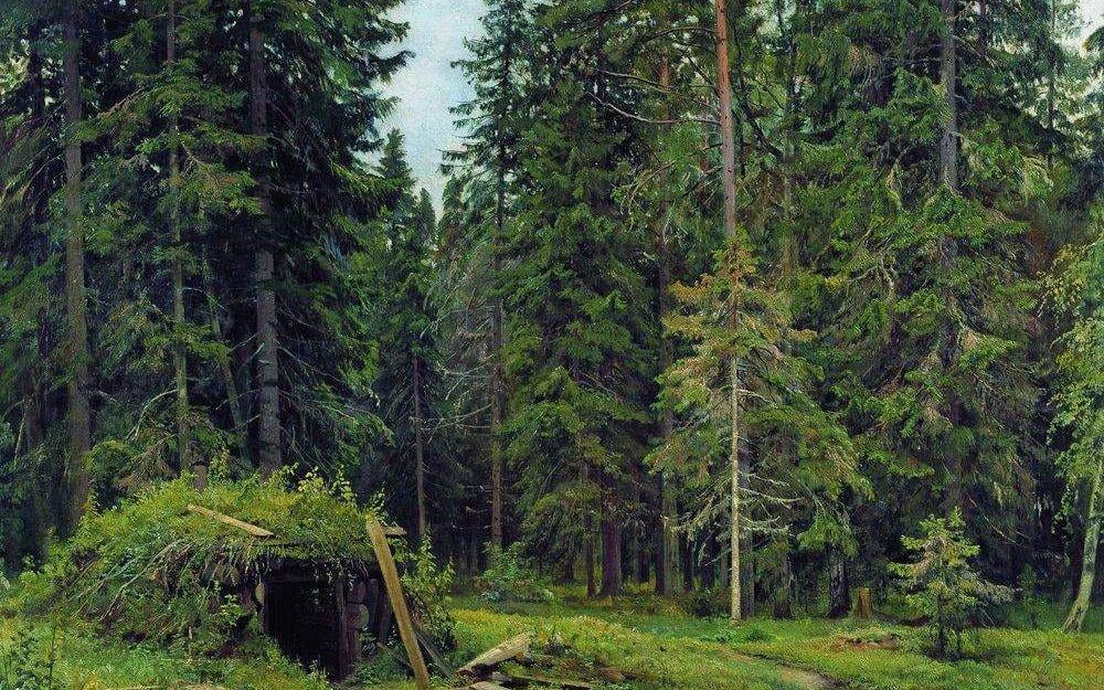Skogskoja. Målning av den ryska konstnären Ivan Shiskhin.