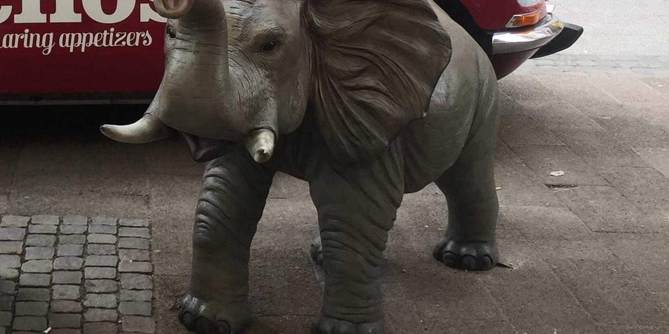 Elefanten Pinny har blivit stulen från tapasrestaurangen Pinchos i Halmstad.