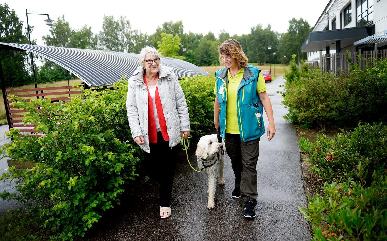 Glädjefyllt möte. Ann-Britt Karlsson älskar att promenera med Charlie och Annette Lindberg. Bild: Lina Salomonsson