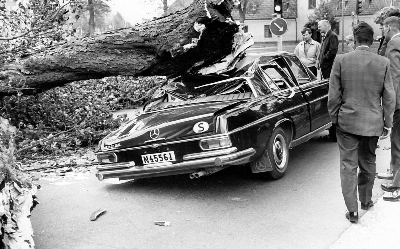 Ett träd har blåst ner över en bil vid den stora höststormen 1969. ”På den tiden var inte väderrapporterna lika utvecklade som i dag, vi fick inga ordentliga varningar”, säger Otto.