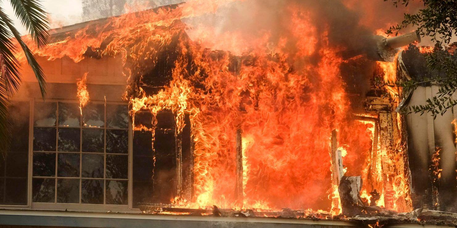 Ett hus slukas av lågorna i den våldsamma Woolseybranden i Malibu, Kalifornien, den 9 november.