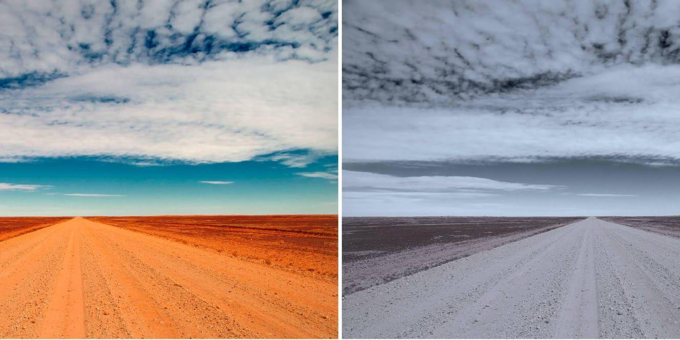 Deprimerade människor tenderar att publicera bilder med andra bildkvaliteter på Instagram, som den till höger som innehåller mer blått och grått och är mörkare än fotot till vänster. Friska publicerar oftare "färgglada" bilder, som till vänster.
