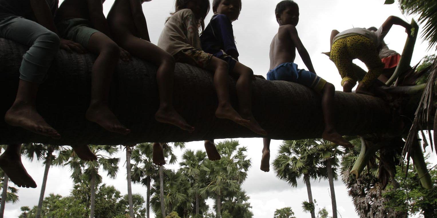 En grupp barn i den kambodjanska provinsen Siem Reap. De har inte direkt med texten att göra. Arkivbild.