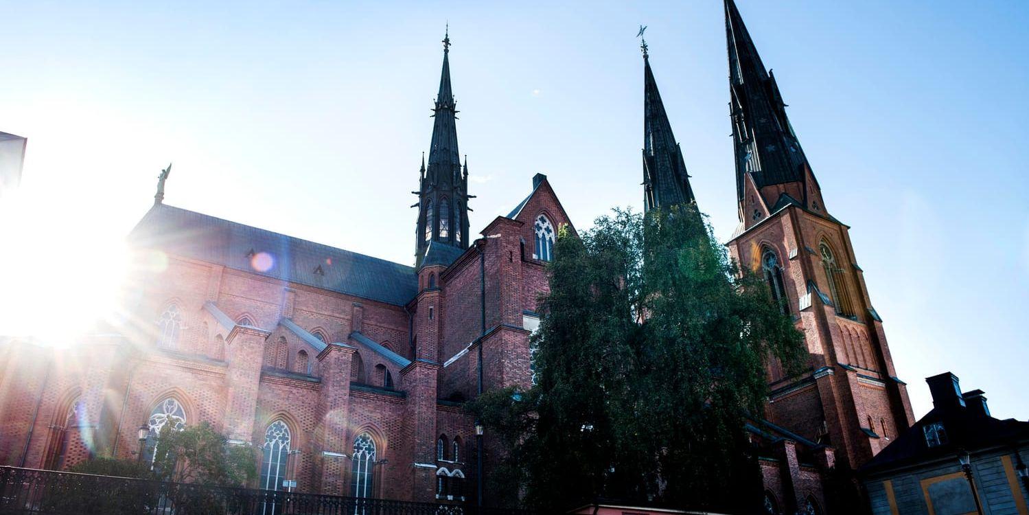 Uppsala hade på onsdagen årets hittills högsta temperatur med 29,3 grader. Här skiner solen på stadens domkyrka. Arkivbild.
