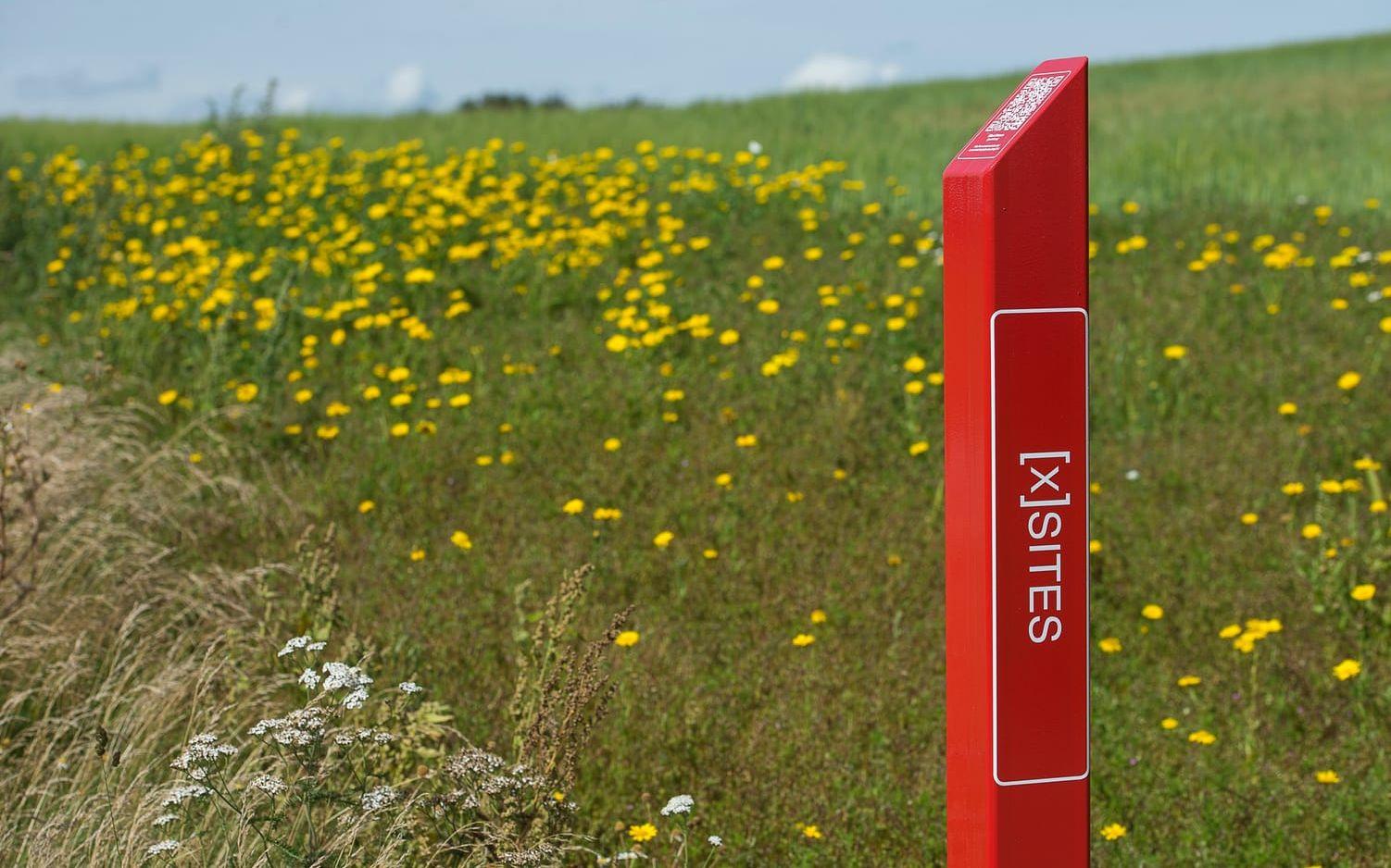 Information. På varje (X)sites-plats står en röd stolpe med en QR-kod där besökare får veta mer om konstverket. Bild: Jörgen Alström