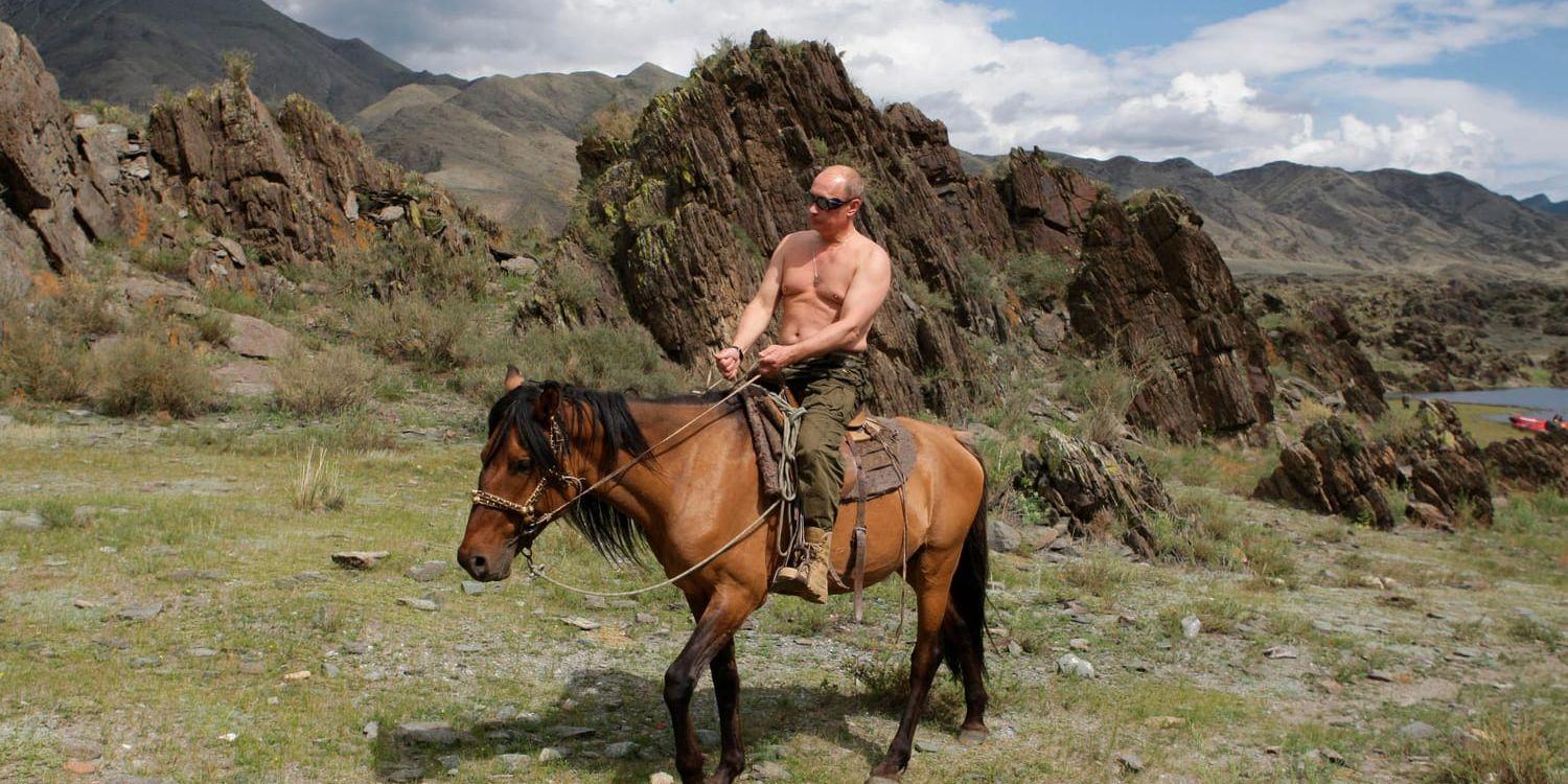 I Putins image som stark ledare ingår att framställa sig själv som en machoman. Här på hästryggen i Sibirien. Arkivbild