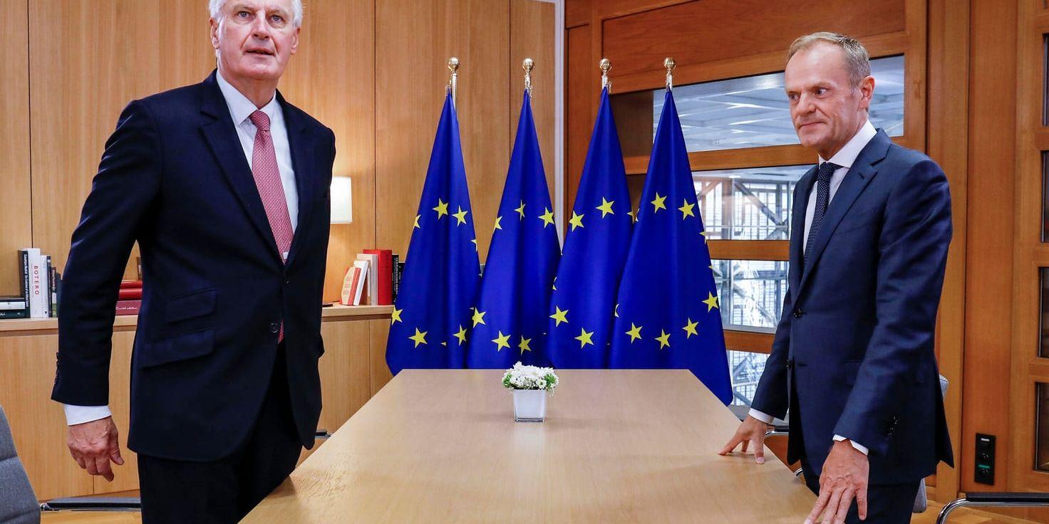 EU:s chefsförhandlare om brexit, Michel Barnier, träffar EU:s permanente rådsordförande Donald Tusk inför onsdagens toppmöte i Bryssel.