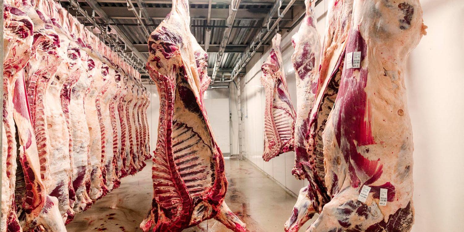 Människorna på jorden äter för mycket kött, enligt nya studier.