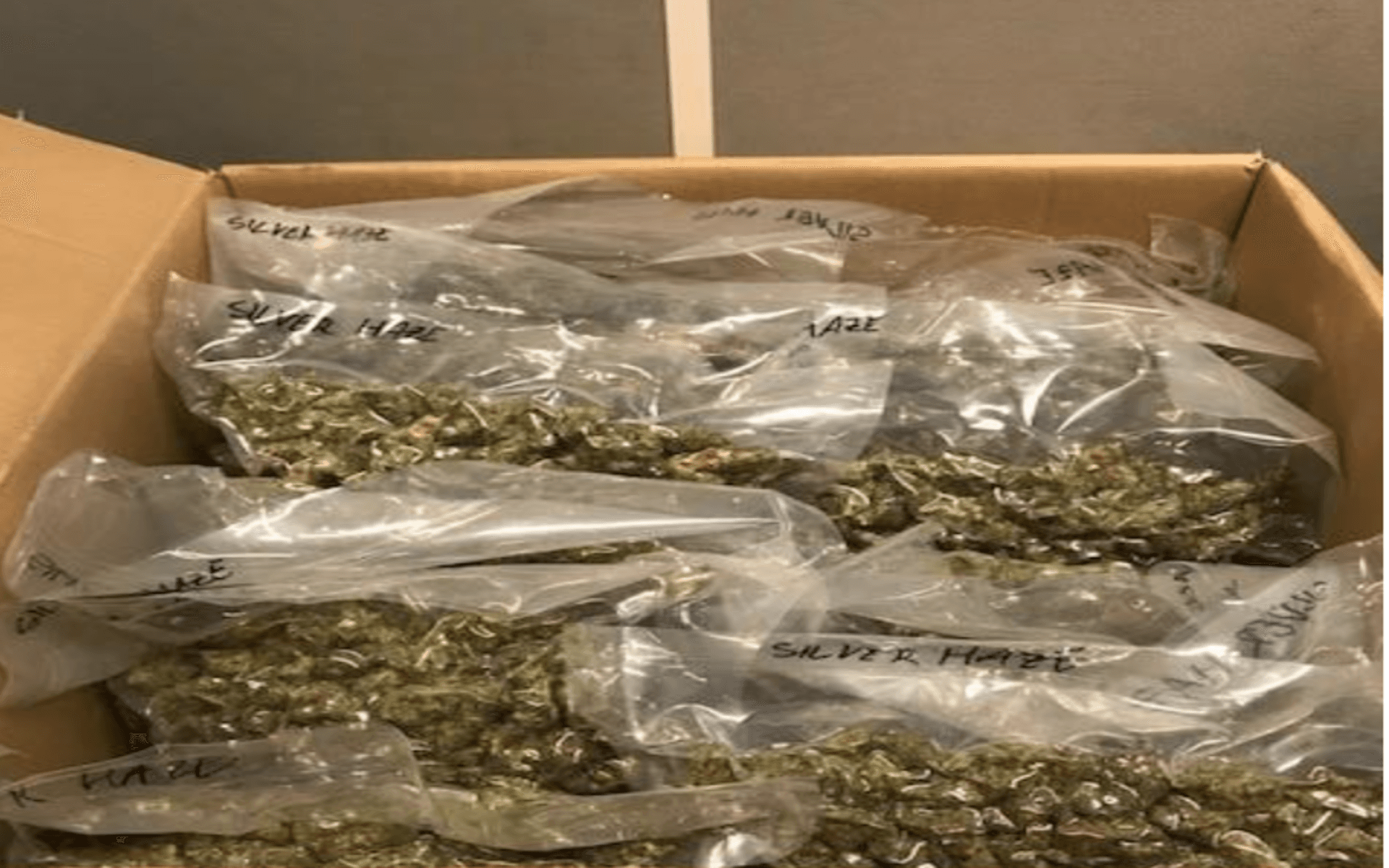 Pallarna med cannabis stod i mitten av lastutrymmet. Men en av gränspoliserna på platsen kunde känna doften och hittade med hjälp av narkotikahundar godset. 