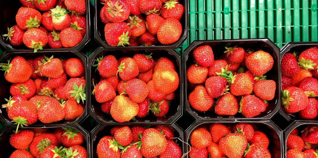 Den kalla försommaren gör att det just nu är ont om jordgubbar på marknaden. Arkivbild.