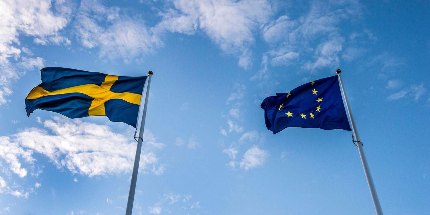 Svenskarnas stöd för EU är rekordhögt enligt senaste Som-undersökningen. Arkivbild.