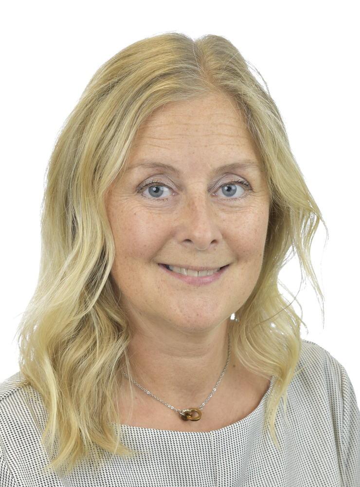 Anne-Li Sjölund (C) röstade nej till regeringens förslag om differentierad skolpeng.