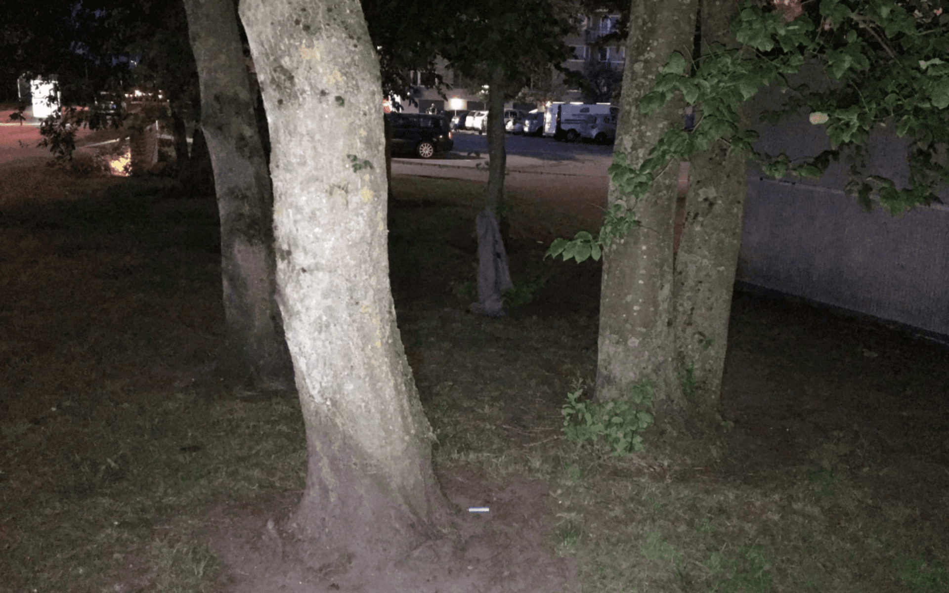 Gärningsmannen lämnade flera spår. Bland annat hittades en tändare mellan två träd en liten bit från brottsplatsen.