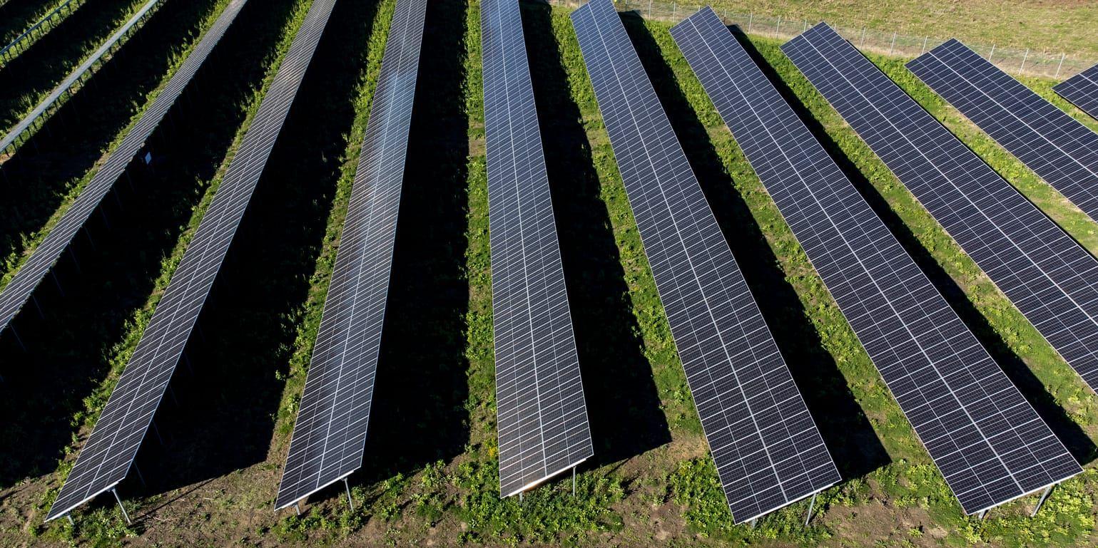 Den planerade solcellsanlägningen vid Wapnö gods blir den största i Sverige.
