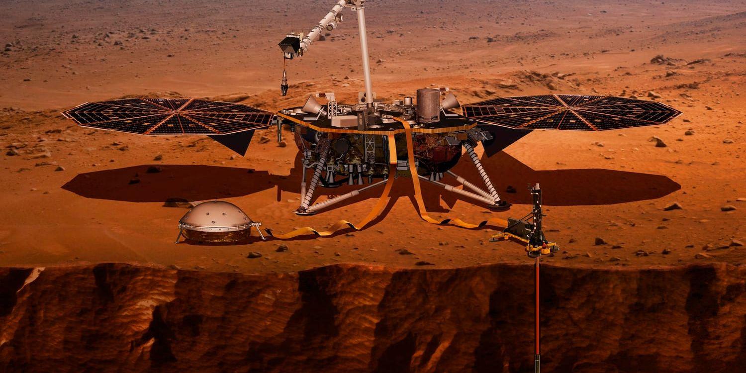 En illustration från Nasa som visar hur Insight borrar sig ner i Mars yta. I början av nästa vecka är det dags för rymdfarkosten att landa.