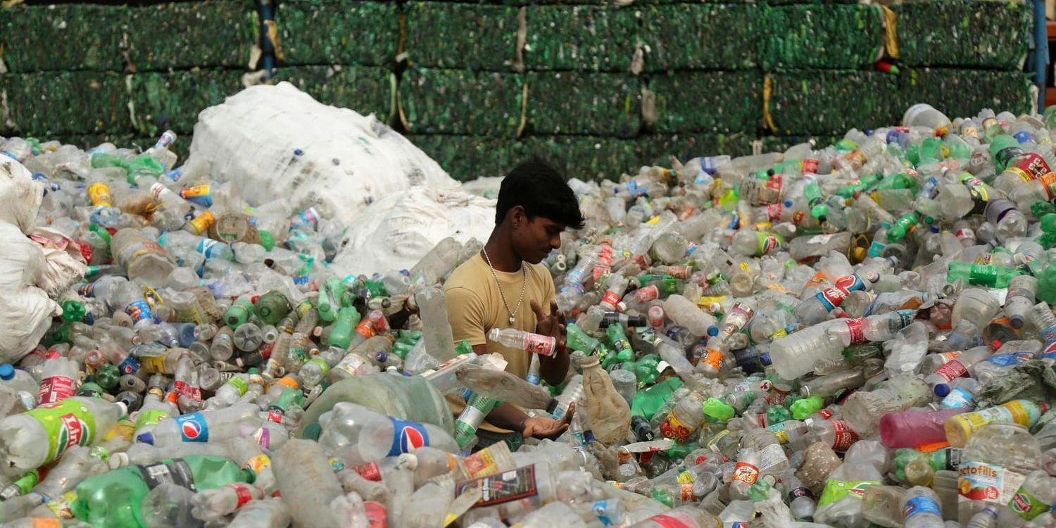 En arbetare i delstaten Jammu och Kashmir i Indien sorterar använda plastflaskor som ska skickas vidare till en återvinningsanläggning.