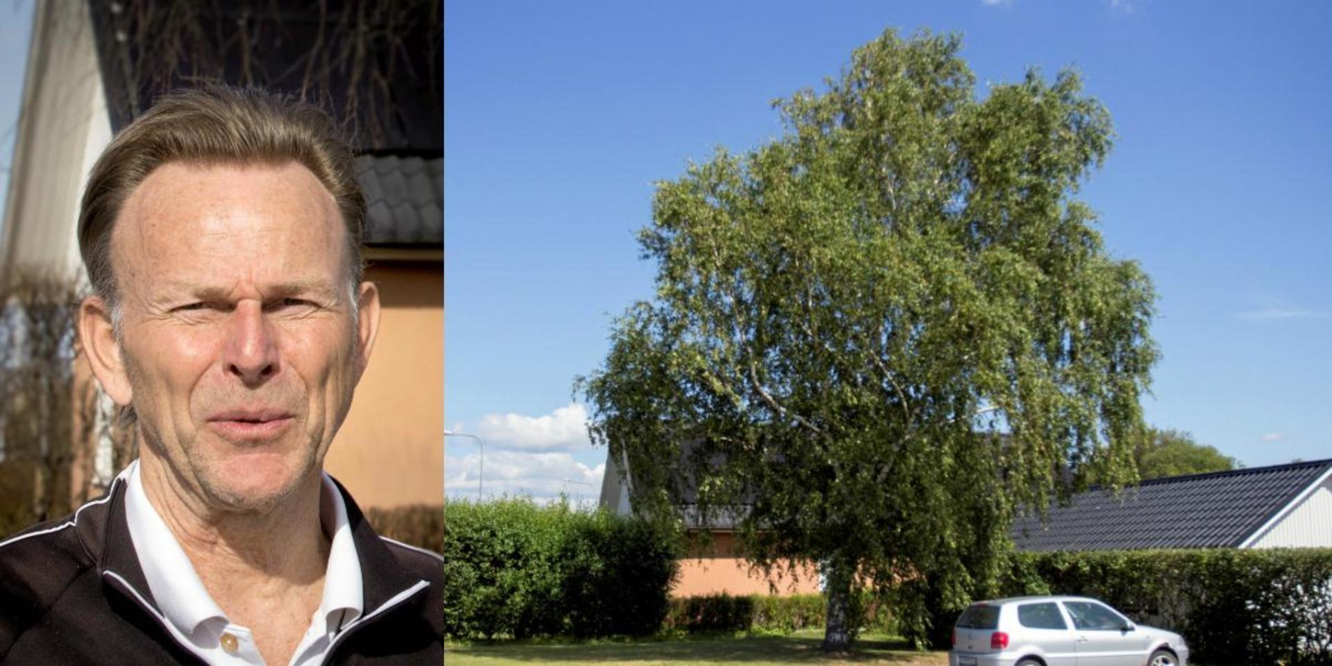 Lars Pålsson vill få bort trädet som skuggar solpanelerna på hans hus i Vallberga. Avslaget som fattades direkt av stadsträdgårdsmästaren går inte att överklaga, enligt en första dom. Nu hoppas villaägaren på en ny prövning i högre instans.