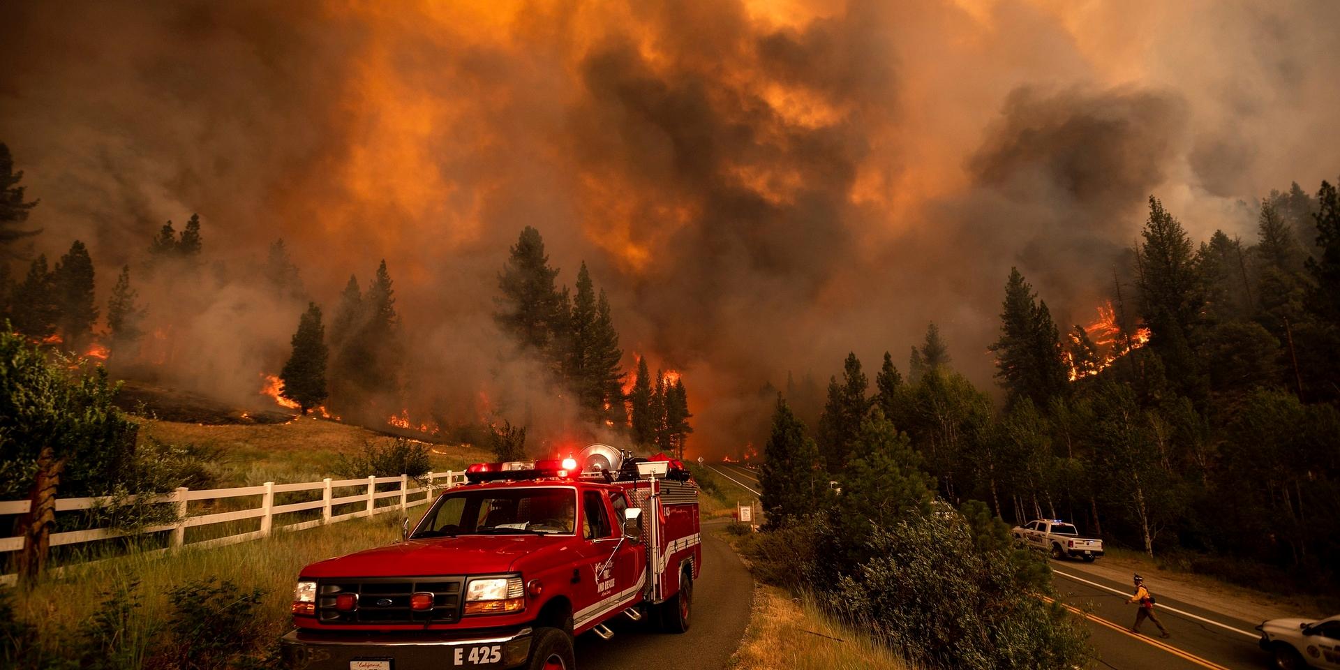 En av alla bränder som just nu härjar i Kalifornien, här i Alpine County i lördags.