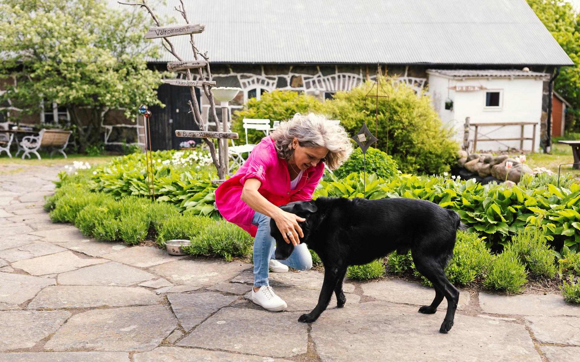 Hunden Steffe är av blandras och älskar att vara med i trädgården när Lena jobbar. 