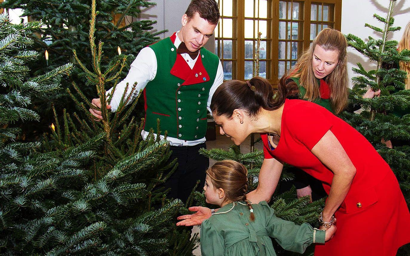 Tidigare i veckan tog Kronprinsessan Victoria och Prinsessan Estelle också emot julgranar av studenter från SLU. Bild: H Garlöv/Kungahuset.se